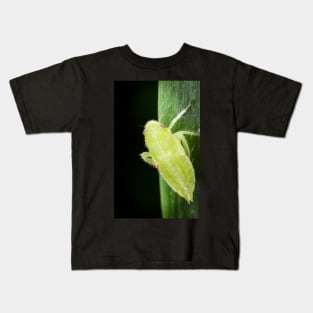 A leafhopper nymph with a hitchhiker Kids T-Shirt